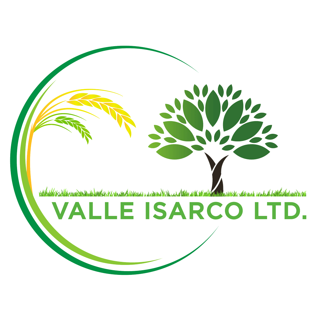 Valle Isarco 